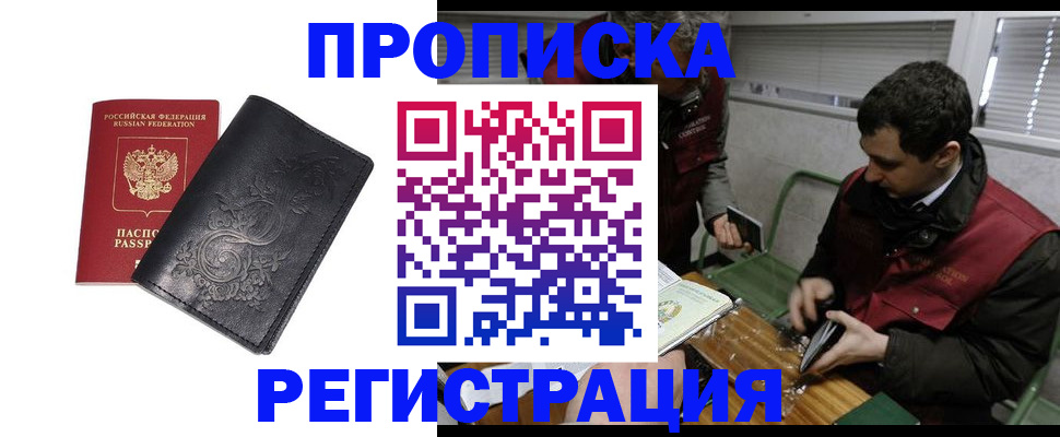 прописка поиск в Кингисеппе